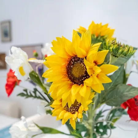 A Casa Di Gerelia Appartement *